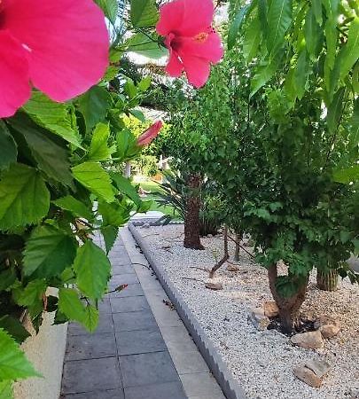 Estudio De Lujo Torrevieja Dış mekan fotoğraf