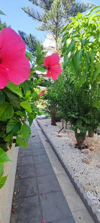 Estudio De Lujo Torrevieja Dış mekan fotoğraf